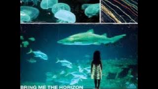 Download lagu Tell Slater Not To Wash His Dick--Bring Me the Horizon