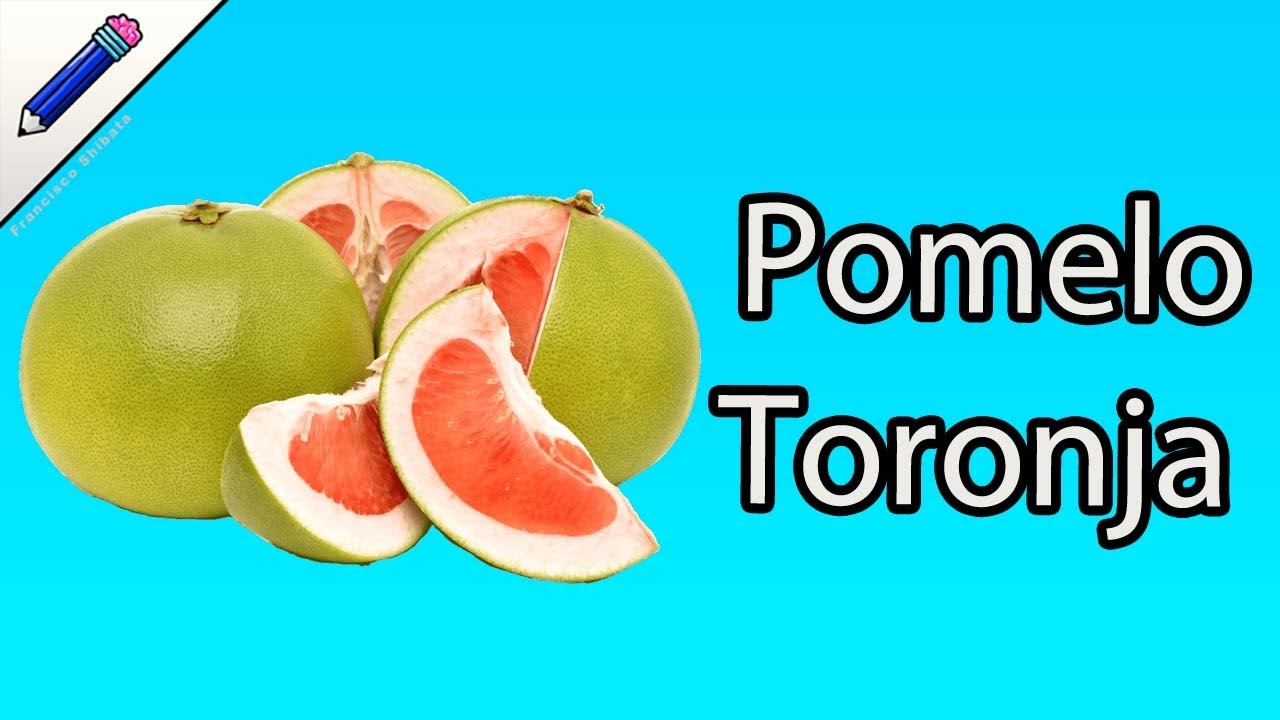El Pomelo Toronja Propiedades Medicinales del Pomelo Toronja para que sirve el pomelo toronja