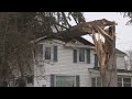 Dangerous Idiots Tree Felling Fails Working With Chainsaw, Heavy Big Tree Falling On Houses