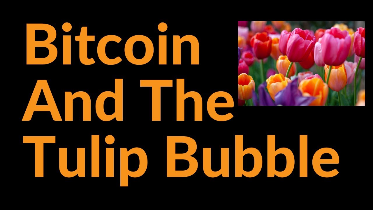 From tulips to bitcoins (83) 사진