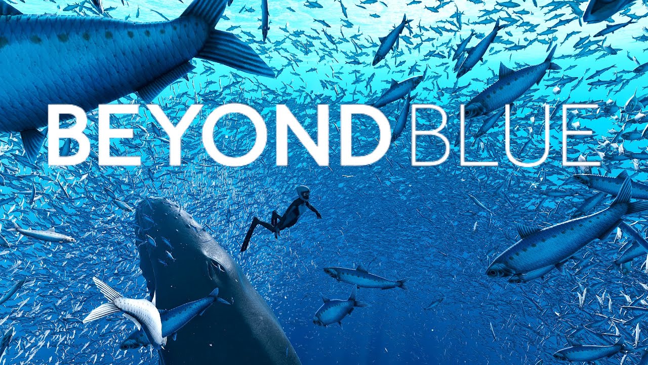 Beyond Blue | No Commentary Full Playthrough | Hirador - YouTube