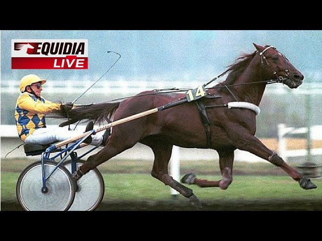 Course hippique: revivez le Prix d'Amérique R1C7 à l'hippodrome de