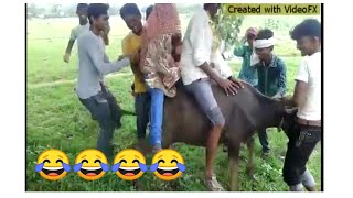 Mauj masti funny video😃😃😃😃 screenshot 4