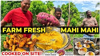 ​Fresh Ocean Catch Cooked on the Farm: Mahi Mahi & Sweet Potato Salad