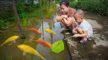 Tìm bắt nhiều cá vàng ở vũng nước ngoài đồng