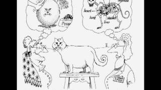 Object Oriented Concepts