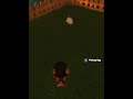 Whimsical Wednesday Garden Paw Part 4 Chickens ever where