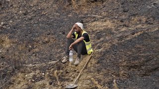 Fortes chaleurs et incendies font des ravages en Algérie, en Italie, en Grèce et en Russie