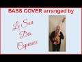 The last bass cover by le son des copeaux