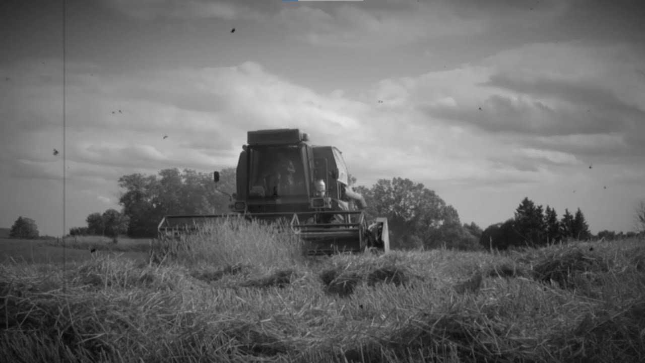 Ostalgie: Roggenernte mit Fortschritt E 514 | 