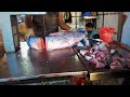 Amazing big size med fish cutting skills by machinemedfishfishcuttingskillsbigfish cuttingfish