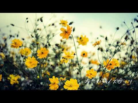 【歌ってみた】冷たい頬／スピッツ（cover）