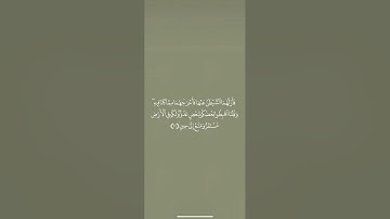 #سورة_البقرة من آية ٣٦ إلى آية ٤٠ مكررة للحفظ🌿