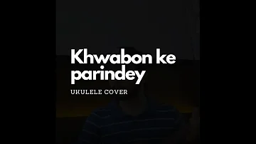 Khwabon ke parindey - ZNMD (Alyssa Mendonsa, Mohit Chauhan) | Ukulele Cover