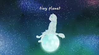tiny planet 
