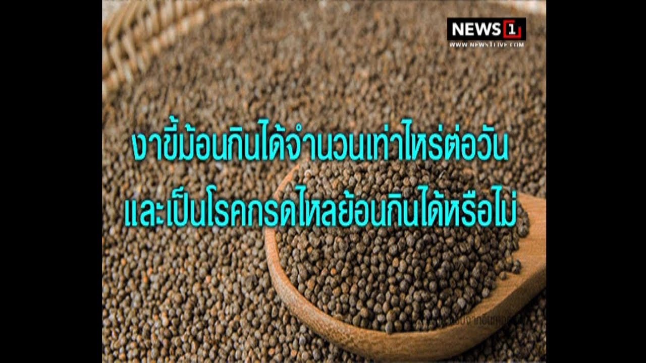 ถามคำตอบคำ? งาขี้ม้อนกินได้จำนวนเท่าไหร่ต่อวัน 25/11/2017