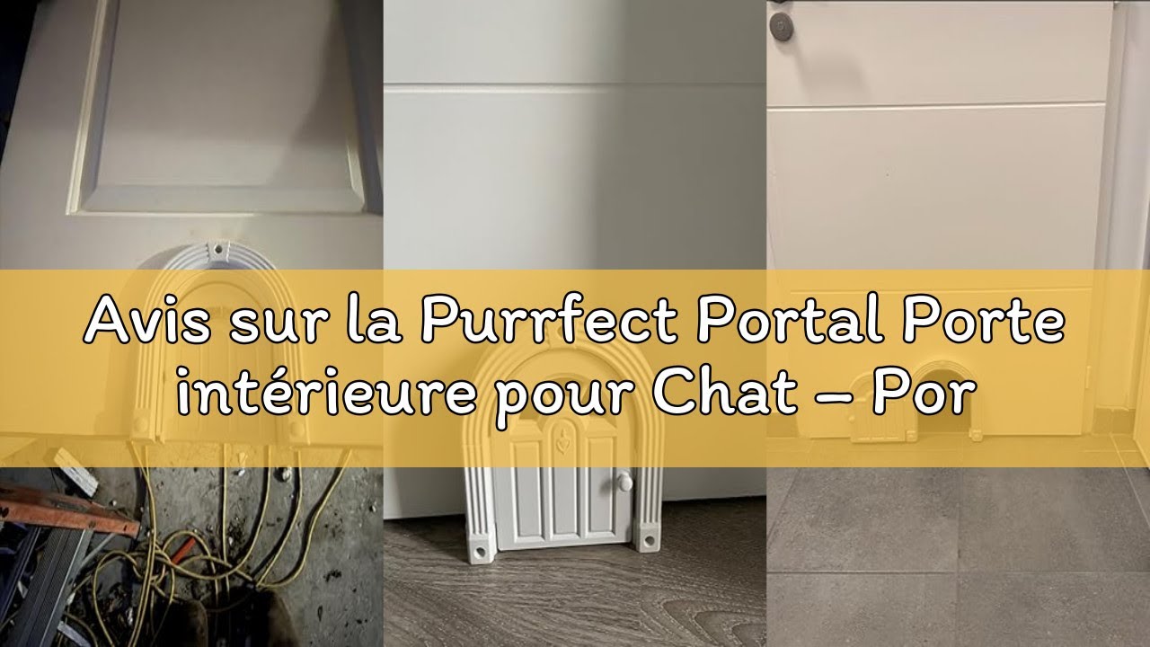 Porte-clés Pour Poils De Chat - Pendentif Patte En Cuir, Souvenir Commémoratif Pour Propriétaire Félin