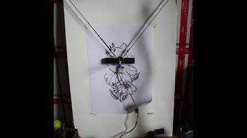 Polargraph Drawing of Flowers