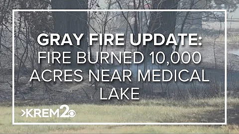 Gray Fire | State of emergency declared as acreage jumps to 10,000, Level 3 evacuations in place