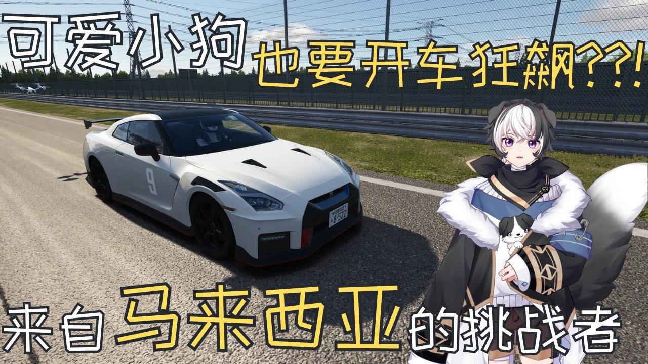 【赛车】可爱小狗也要开车狂飙??! 来自马来西亚的挑战者 | 蓝魂Bluesoul | MYViki