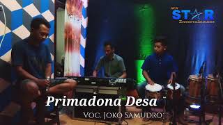 New star musik entertainment primadona desa voc.joko