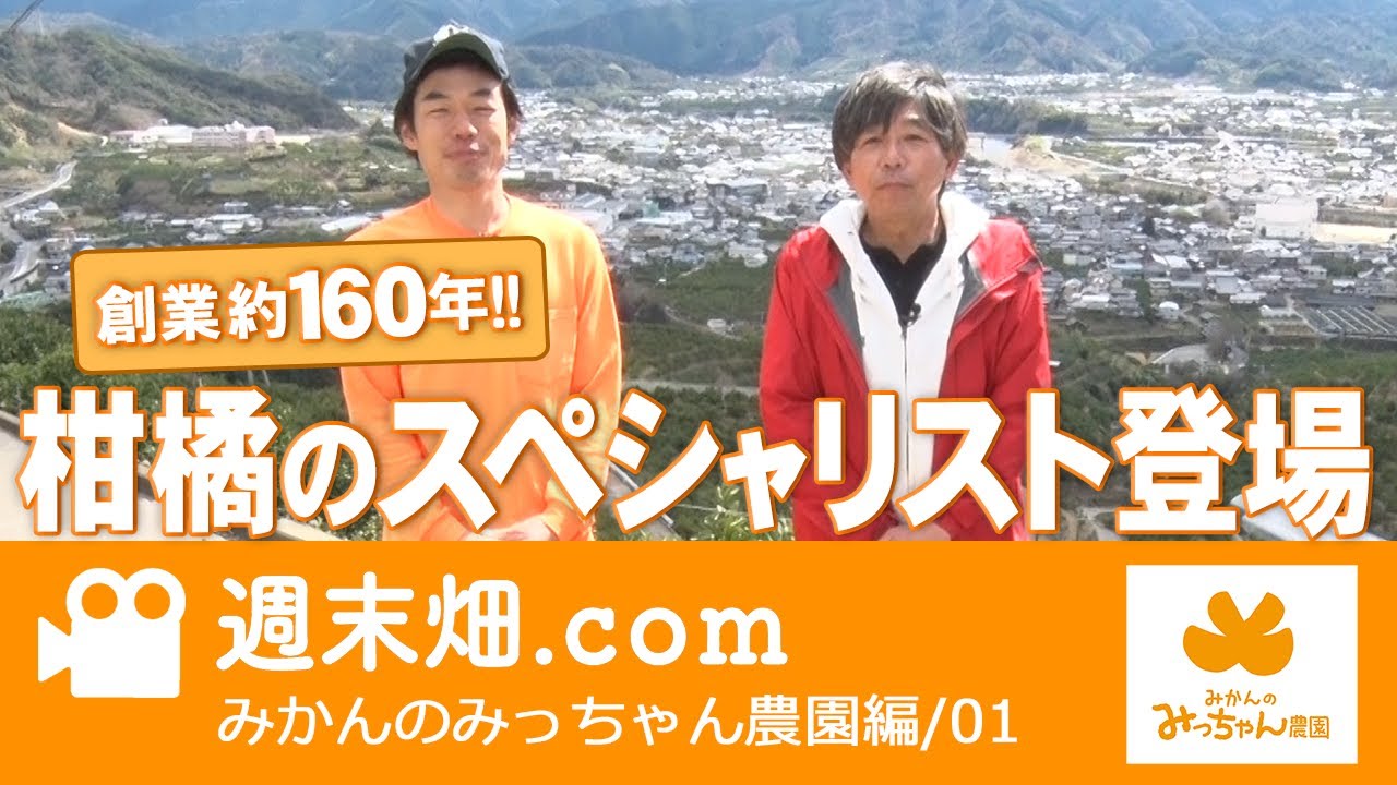 SNSだけで年間1万人にみかんを売る男！ | みかんのみっちゃん農園 その