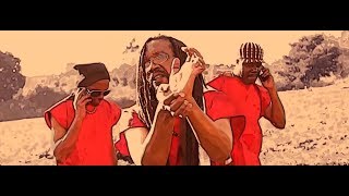 Tell Me This - Asili Dub 