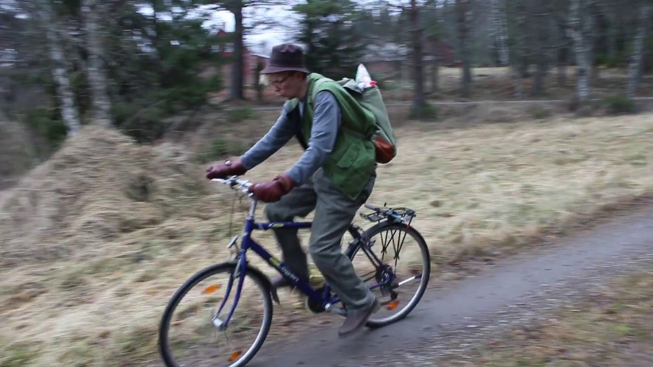 Pettson och Findus fiskar