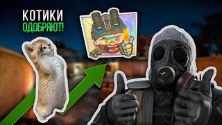 картинка: Я нашел лучшую дешевую наклейку в CS2 — рассказываю вам!