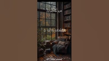 ما تيسر من سورة البلد ♥️ #القرآن_الكريم #اكسبلور #القران_الكريم_في_الصباح #القرآن #المغرب #الجزائر