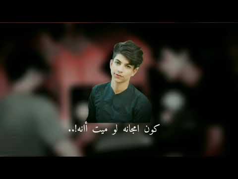 ودتلك أمك سلام مجتبى الوائلي يقره قصيده مسلم الوائلي حالات واتس اب حسينه استوريات جديد بدون حقوق