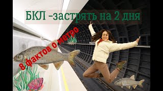 БКЛ/Метро/Метро в Москве/Факты о метро/Самая длинная ветка метро в мире/ПО ОДНОМУ МЕСТУ