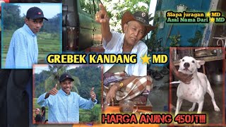 Spektakuler Grebek Kandang Dan Markas Bintang Md Harga Anjing Mencapai 450 Jt ceritaporbi