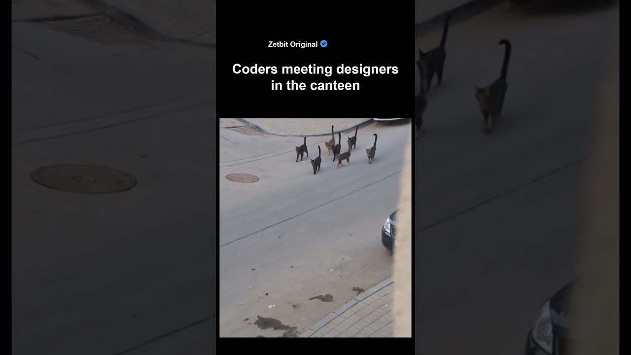 Coders meeting designers in the canteen #coder #coderlife #programmerlife