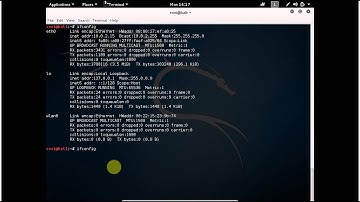 ifconfig on kali linux