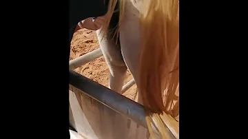 كيفية تلقيح الفرس العربي بالحقن الاصطناعي 