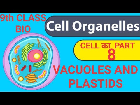 CELL ORGANELLES: VACUOLES AND PLASTIDS (kitchen of the cell): PART 8 OF UNIT : CELL: CLASS 9 BIO