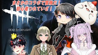 【DBD】コラボで、初心者メンバーで冒険に出掛けます～　#大福の大冒険 #ホラゲ #コラボ