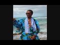 King Montgomery - Soca Wine