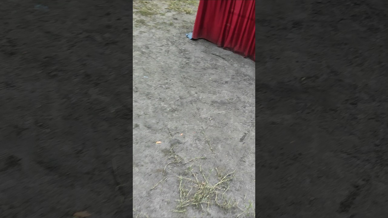 BEST PANDAL AWARDS🏆🎊