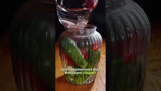 Малосольные? Ферментированнные! #health #herbal #полезнаяеда #биохакинг #оздоровление #лечение