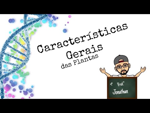 Vídeo: Quais São As Características Das Plantas