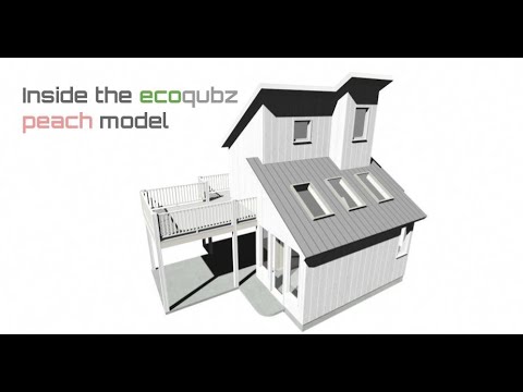 Peach Model Design Review Video