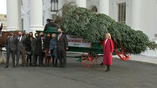 First Lady Jill Biden receives the official White House Christmas tree | AFP
