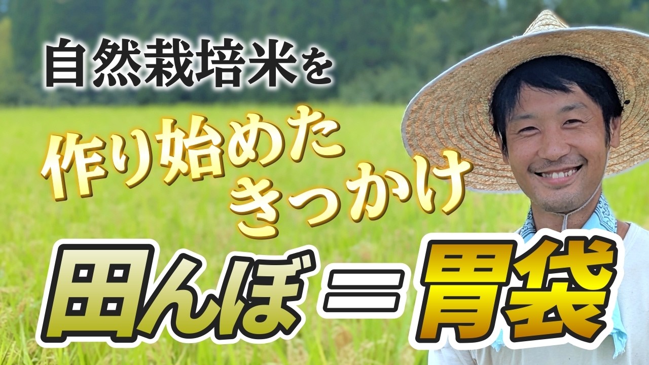 堀永自然栽培米トヨサト・穂増｜水源の清らかな水で育てるお米 古来の