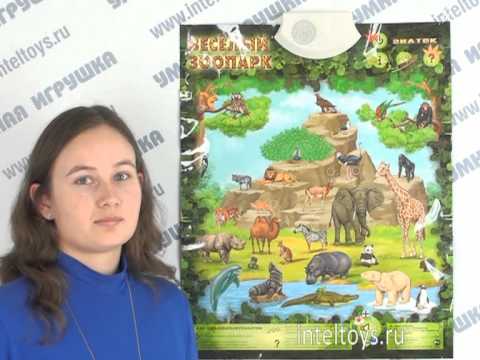 Электронный плакат «Веселый зоопарк»