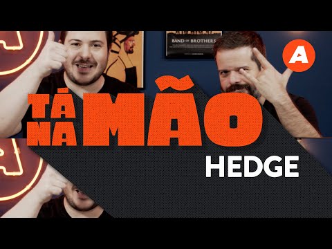 O melhor APP para COPIAR VÍDEOS e FOTOS: Hedge - TÁ NA MÃO