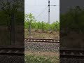 #shorts#reels#jungle #nature#railjourney