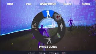 Fortnite Battle Royale - Chapter 2 - Solo Win #163