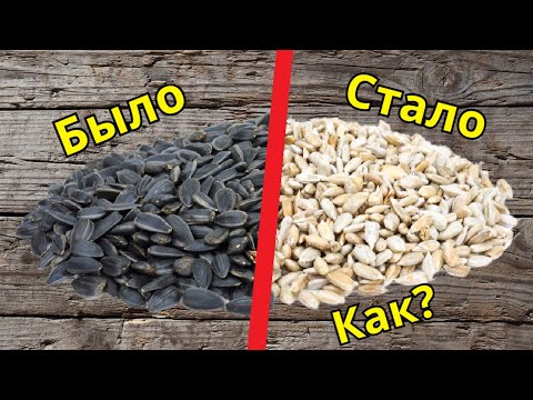 Как отделить шелуху от семечек. Семечки подсолнуха. Семечки.